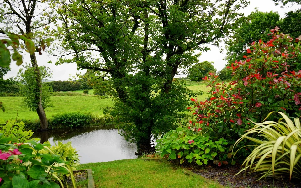 Stock photo of flowering garden beds and ornamental plants beside a pond